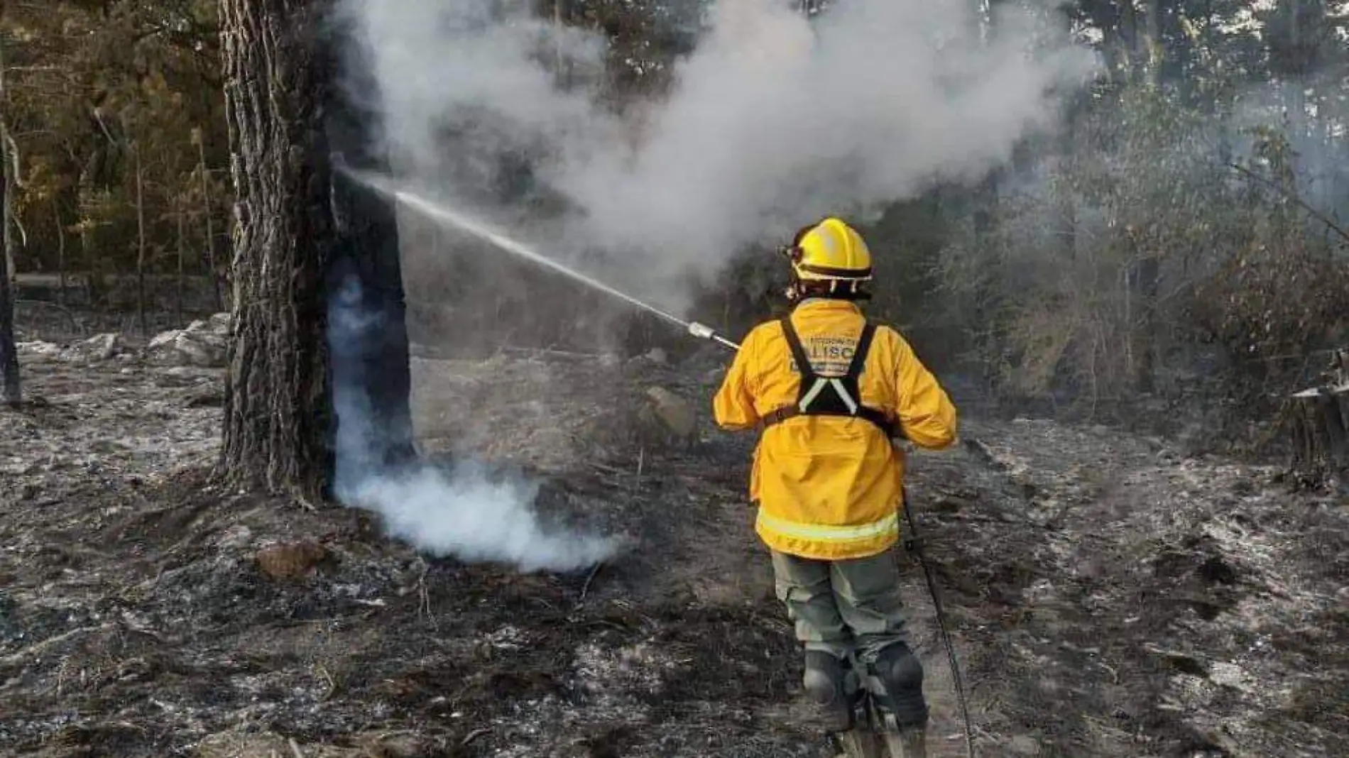 Incendio Fiscalía Estatal Cortesía